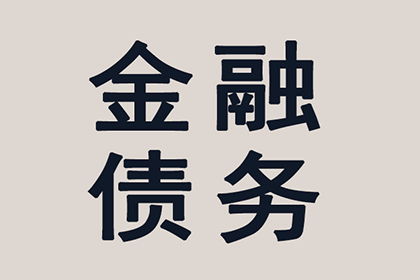 来宾清债公司